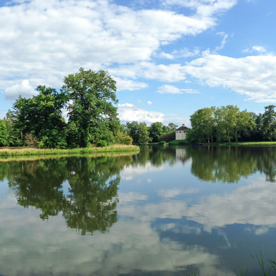 Foto aus dem Gartenreich Dessau-Wörlitz. Zu sehen ist ein großer See, in dem sich die Parkanlagen und der Himmel spiegeln